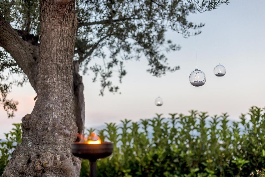 Casale Santa Maria Country House Mosciano SantʼAngelo Exteriör bild
